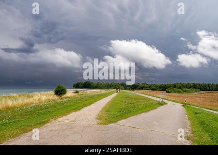 Cyclists on dike bike path along Baltic Sea near Gut Oehe, dramatic storm clouds over vast landscape, Schleswig-Holstein, Germany Stock Photo