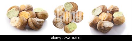 Heap of delicious frozen snails on white background. Stock Photo
