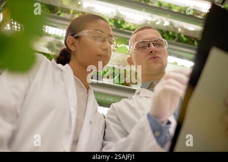 Two scientists wearing white lab coats and safety goggles examining data on large tablet device with indoor plants visible in background Stock Photo