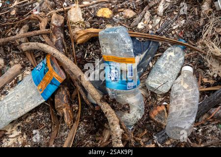 Africa Tanzania, Zanzibar, East Coast, Matemwe, beach, plastic waste at high tide line Stock Photo