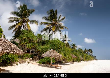 Africa Tanzania, Zanzibar, East Coast, Matemwe, beach, tourist shade palm leaf parasols outside resort Stock Photo
