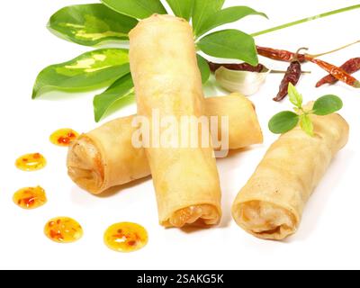 Spring Rolls - Fast Food on white Background Stock Photo