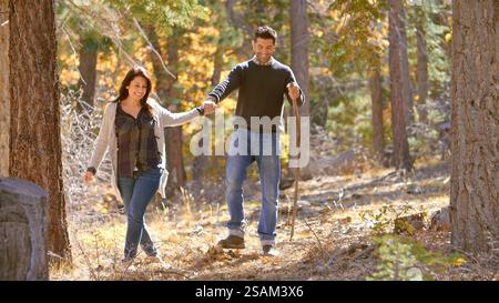 Active Mature Couple Outdoors Enjoying Autumn Or Fall Walk In Forest Holding Hands Stock Photo