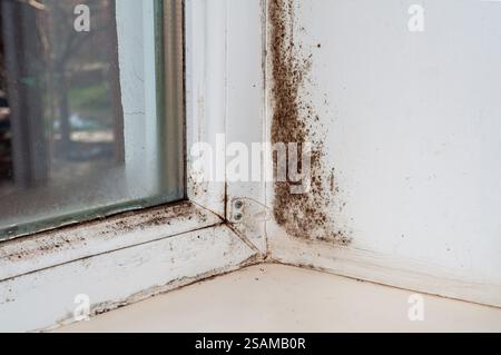 Winter condensation on window, black mold, wall freezing issue. Stock Photo