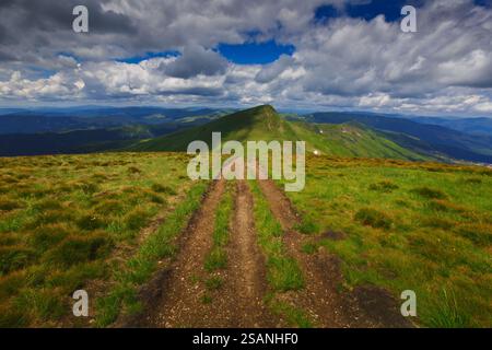 Summer view of Mount Blyznytsia in the Svydivets range, Ukrainian Carpathians. A mountain trail winds through green meadows under a dramatic sky. Stock Photo