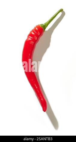 Single long red chili pepper standing upright inside bright yellow ...