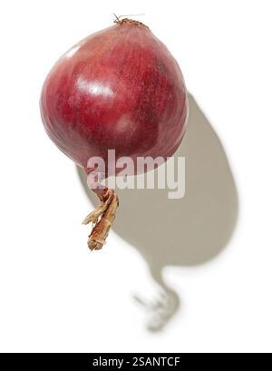 red onion whole with long shadow isolated on white background, top view Stock Photo