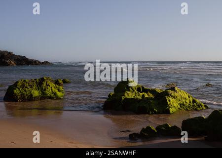 Green-tinted rocks on a beach, being gently covered by waves from the ...