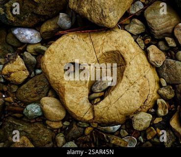 A tear shaped hollow being worn in a rock by smaller stones and gravel in the hollow swirled around by wave action. Stock Photo
