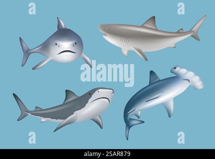 Realistic shark. Angry agressive wild underwater fauna antarctic big sharks danger diving decent vector illustrations set isolated. Aggressive shark p Stock Vector