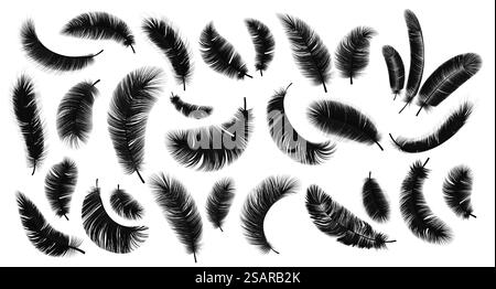 Black feathers. Realistic bird weightless plume in different angles set, fluffy soft swan and goose feather isolated on white collection. Symbol of lightness, vector 3D vintage decorative elements. Black feathers. Realistic bird plume in different angles set, fluffy swan and goose feather isolated on white collection. Symbol of lightness, vector 3D vintage decorative elements Stock Vector