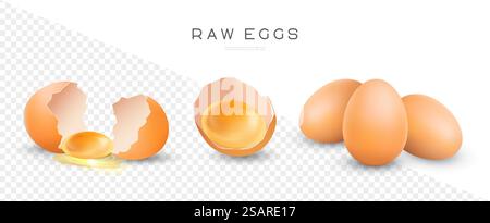 Raw chicken eggs vector isolated illustration. Whole and broken brown fresh eggs. Yolk in eggshell Stock Vector