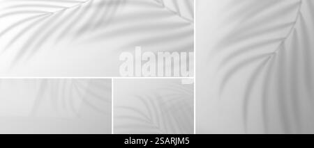 Set of vector transparent overlay shadows with palm leaves. Isolated shade set. Gray empty room studio abstract background for products display Stock Vector