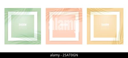 Shadow Overlay Plant Vector Mockup. Vector shadows overlay effects with tropical leaves and white frames Stock Vector