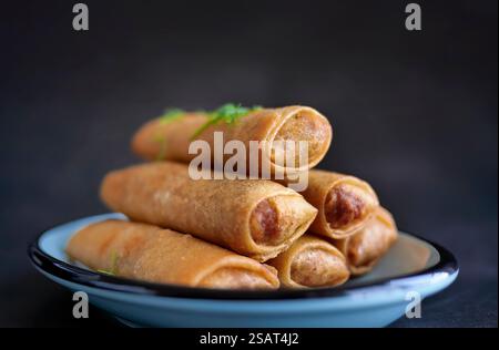 Deep fried spring roll in golden brown color, served in a blue oval shape plate, famous local street food in Thailand, food industry concept Stock Photo