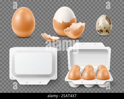 Realistic hen and quail eggs. Fresh raw and boiled natural products, whole and broken, yolk and albumen, white blank cardboard packaging, Healthy organic food, breakfast meal utter vector isolated set. Realistic hen and quail eggs. Fresh raw and boiled natural products, whole and broken, yolk and albumen, blank cardboard packaging, Healthy organic food, breakfast meal utter vector isolated set Stock Vector