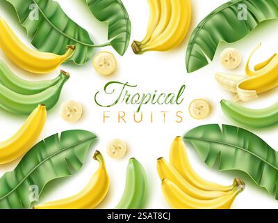 Realistic banana frame. Tropical fruit poster with pieces and green palm leaves, bunches and whole fresh fruits, sweet natural exotic food background with copy space, 3d yellow elements vector concept. Realistic banana frame. Tropical fruit poster with pieces and green palm leaves, bunches and whole fruits, sweet natural food background with copy space, 3d yellow elements vector concept Stock Vector