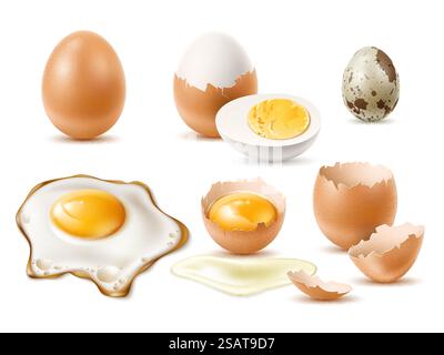 Realistic eggs. Raw and fried natural diet product, 3d chicken and quail egg, beige whole cracked shell, protein and yolk. Healthy organic food, breakfast utter vector isolated on white background set. Realistic eggs. Raw and fried natural diet product, 3d chicken and quail egg, beige whole cracked shell, protein and yolk. Healthy organic food, breakfast utter vector isolated set Stock Vector