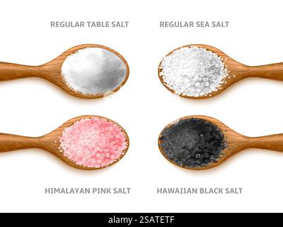 Realistic salt types. Cooking crystals and powder, different sea natural product, woden spoon, organic dry grains top view, pink himalayan, black hawaiian, various condiment, utter vector isolated set. Realistic salt types. Cooking crystals and powder, different sea natural product in woden spoon, organic dry grains top view, pink himalayan, black hawaiian, various condiment, utter vector set Stock Vector