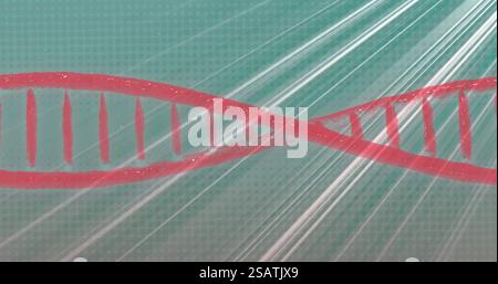 Image of dna strand spinning over light trails on green background Stock Photo