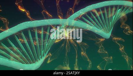 Image of dna strand spinning over glowing light trails on green background Stock Photo