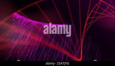 Image of dna strand spinning over glowing purple light trails on black background Stock Photo