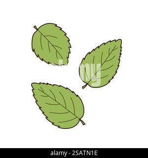 Set of three mint leaves. Vector illustration in simple, flat cartoon style. Suitable for creating compositions, decorating menu, creating patterns Stock Vector