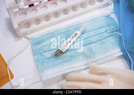 Test tube labeled Hantavirus on a mask, with gloves in a lab setting Stock Photo