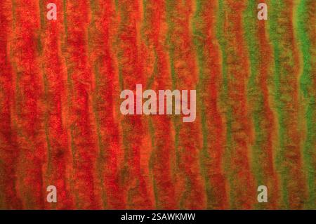 Abstract of red and green on fibrous texture Stock Photo