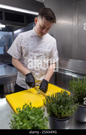 Chef skillfully slicing vegetables in modern kitchen Stock Photo
