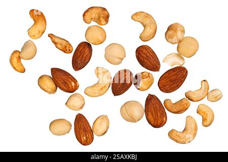 Different types of nuts including macadamia, cashew, and almond isolated on a clean white background, showcasing their natural colors and textures. Stock Photo