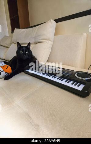 A sleek black cat with bright, curious green eyes sits attentively on a beige sofa next to a modern electronic keyboard. Stock Photo