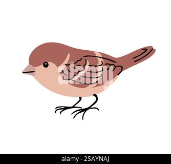 Little sparrow bird. Urban feathered. Animals, nature and ornithology. Cartoon vector illustration isolated on white background Stock Vector