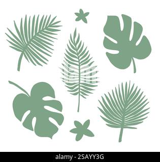 Vector set bundle of green hand drawn palm and monstera leaf silhouette isolated on white background Stock Vector