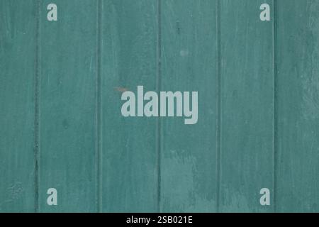 Close-up of a green door showcasing its textured surface, providing a unique background. Stock Photo