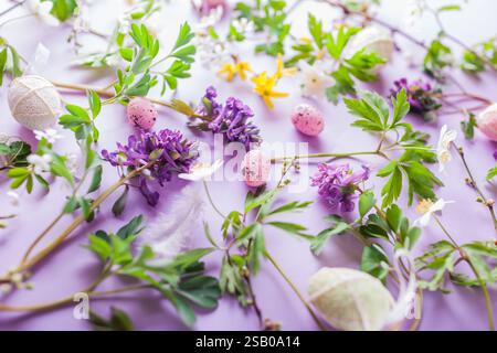 Easter floral background. Eggs with spring blossoming white yellow flowers on purple background. Symbolic holiday texture. Top view Stock Photo