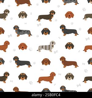 Dachshund wire haired dog seamless pattern. Different coat colors set.  Vector illustration Stock Vector