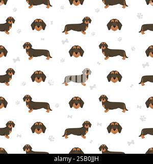 Dachshund wire haired dog seamless pattern. Different coat colors set.  Vector illustration Stock Vector