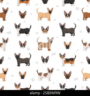French Bulldog Corgi seamless pattern. French Bulldog - Welsh Corgi mix. All possible coat colors, breed information, adults and puppies.  Vector illu Stock Vector