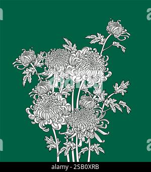 Chinese chrysanthemum flower line art set isolated on white ...