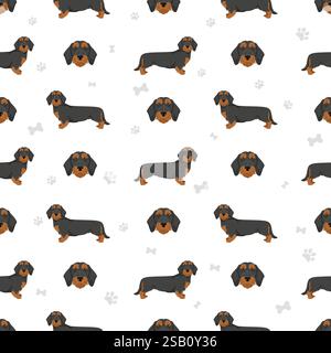 Dachshund wire haired dog seamless pattern. Different coat colors set.  Vector illustration Stock Vector