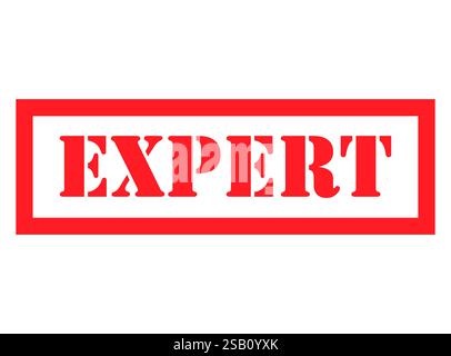 Expert stamp symbol, label sticker sign button, text banner vector illustration . Stock Vector