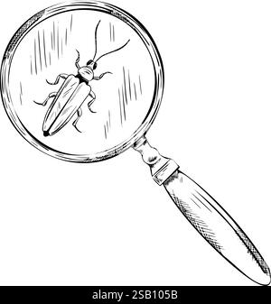 Vector line illustration of magnifying glass with beetle. Hand Engraving drawing of magnifier lens find insect. Monochrome Outline graphics vintage Stock Vector