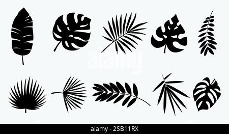 Tropical Leaves Set. Vector Illustration, Leaf Silhouettes Set, Monstera deliciosa tropical leaf background Stock Vector