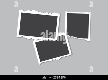 Simple elegant mood board photo collage white background Stock Vector