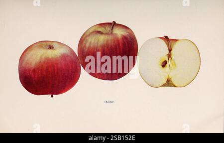 Vibrant Red Apples. Indicating freshness and quality, perfect for ...