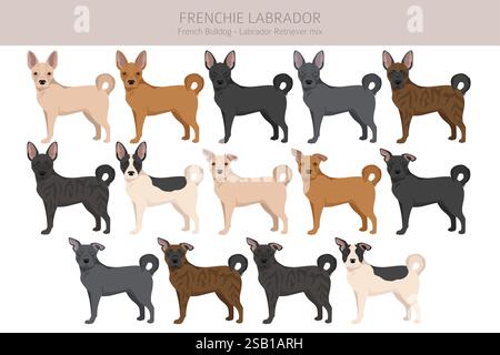 Frenchie Labrador clipart. French Bulldog - Labrador Retriever mix. All ...