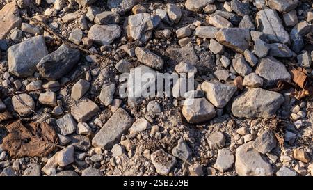 This detailed image showcases a close-up view of a natural rocky path covered with dried leaves and small stones, illuminated by soft sunlight. Perfec Stock Photo