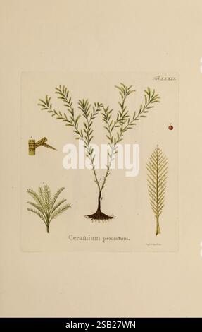 An intricate artistic rendering featuring two distinct panels. The top ...