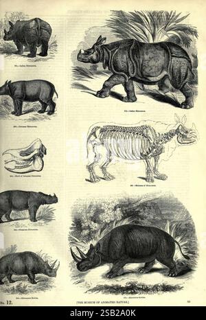 The image displays a detailed representation of the horn section from ...
